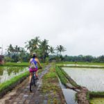 WhatsApp Image 2017-08-19 at 15