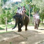 elephant ride Bali